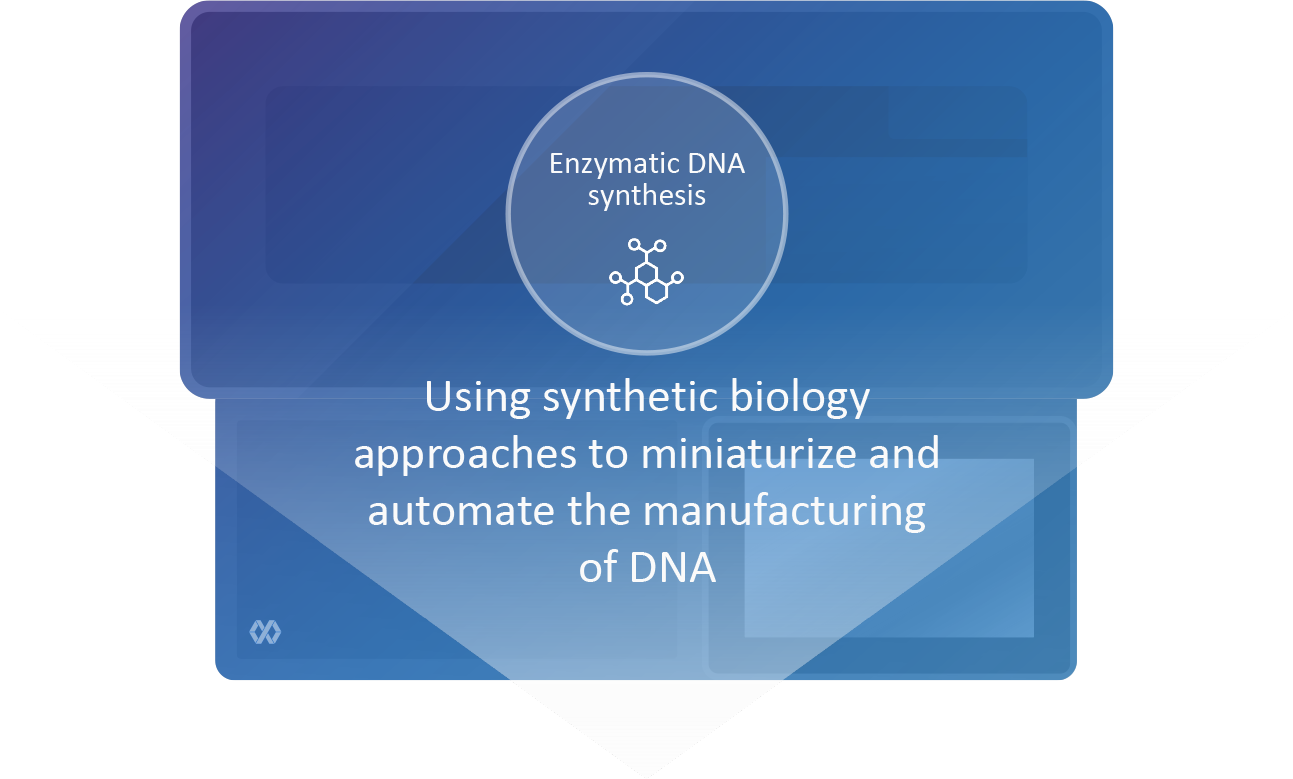 Enzymatic DNA synthesis