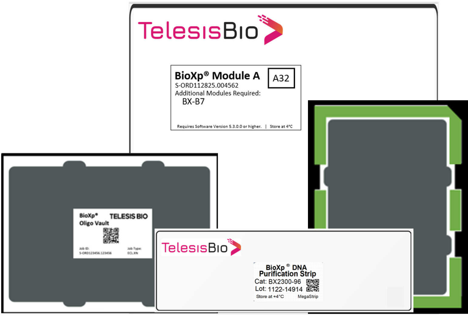 MRNA Synthesis Telesis Bio